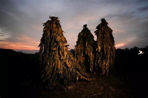 internet marketing nueva ecija|PHOTO GALLERY: Philippine villagers smear mud on their.
